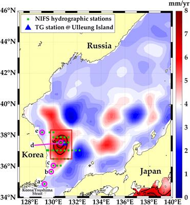Eddy-driven sea-level rise near the frontal region off the east coast of the Korean peninsula during 1993–2020